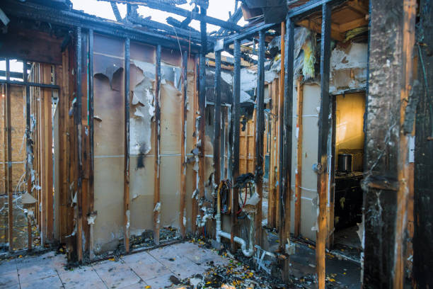 Professional Odor Removal technician working in Bloomfield, IN